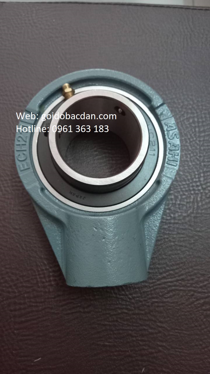 BAC DAN ECH210, VÒNG BI ECH210