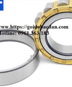 Vòng bi N 305-E-C-M Bạc đạn - Ổ bi