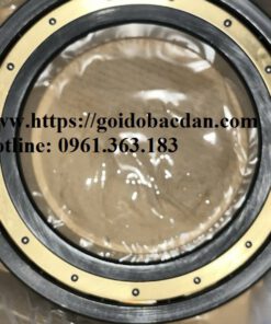 Bạc đạn 6038 L1