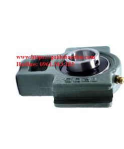 Gối đỡ UCTX 10 bac dan