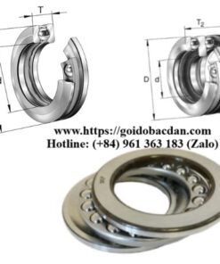 Vòng bi bạc đạn chà, vòng bi đỡ chặn tròn 3 miếng, 5 miếng