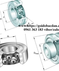 Ổ BI BẠC ĐẠN VÒNG BI ina lr..., lfr...