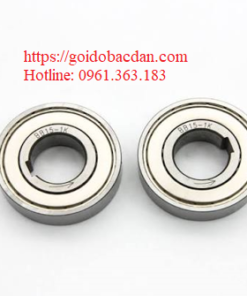 Vòng bi BB30-2GD Nhật