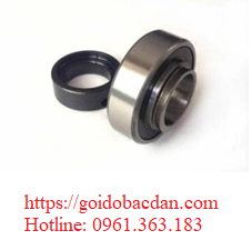 Vòng bi FHRL6004-20