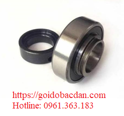Vòng bi FHRL6004-20 Nhật