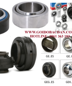VÒNG BI BẠC ĐẠN Ổ BI MẮT TRÂU GE, GEG, GEH, PHS, POS, SA